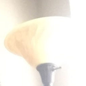 Meet your Posher, Bobby